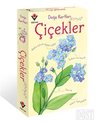 Doğa Kartları - Çiçekler